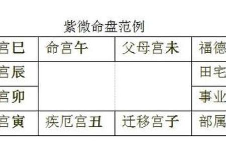 紫薇斗数怎么看大限旺衰