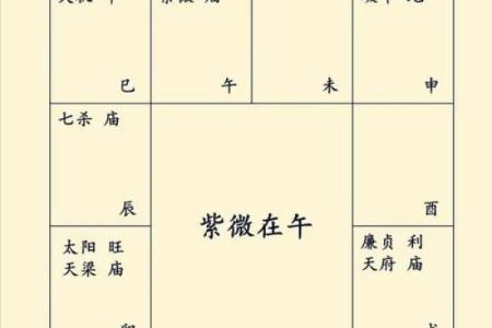 包含紫薇斗数菜鸟入门的词条