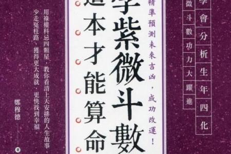 紫薇圣人的紫薇斗数