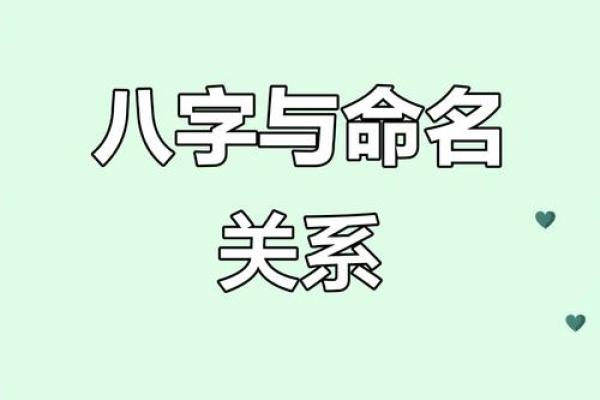 八字txt