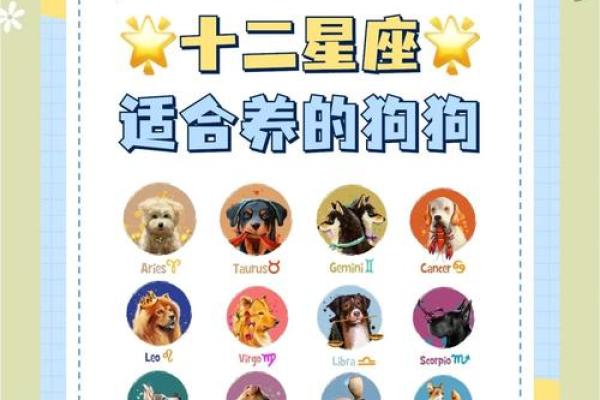12星座适合养的什么狗