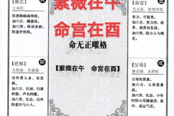 属于紫薇斗数