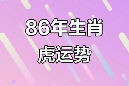属虎哪个星座运势更好