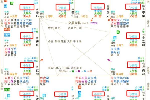 流年考运紫薇斗数