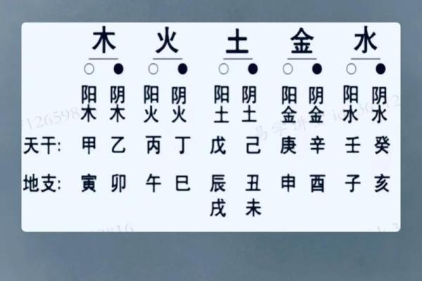 八字干支直断秘诀 如何利用八字干支进行直接断言
