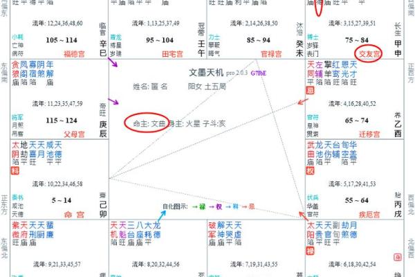 紫薇斗数主星择业