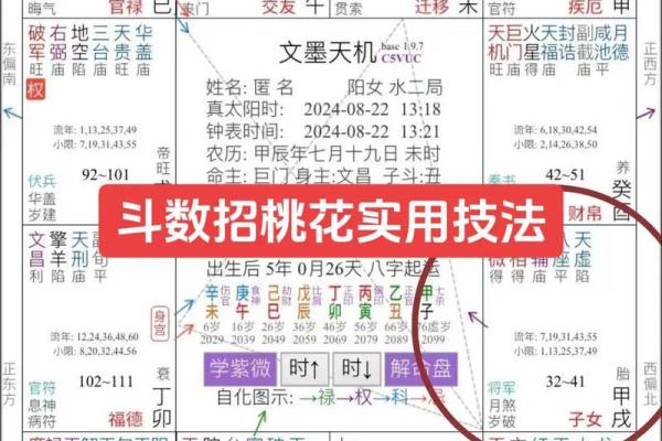 紫薇斗数看子时