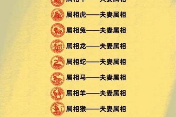 龙生肖配对姻缘 龙生肖配对排名？