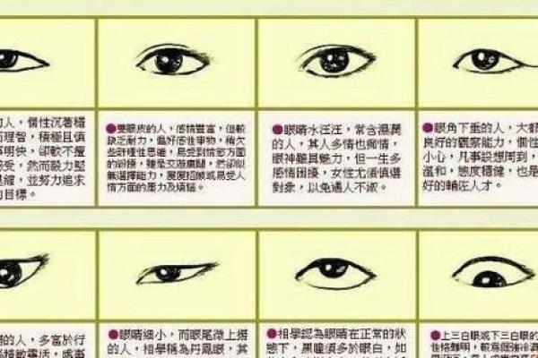 看相算命大全图解婚姻