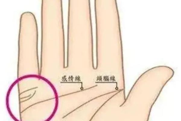 看相算命大全图解婚姻
