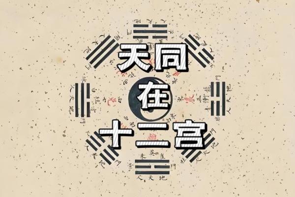 紫薇星天相星在疾厄宫