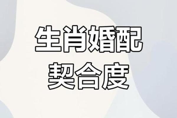 属鸡人属相姻缘配对