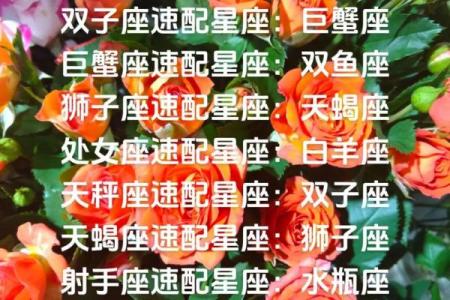 白羊座三区与双子巨蟹座的星座配对
