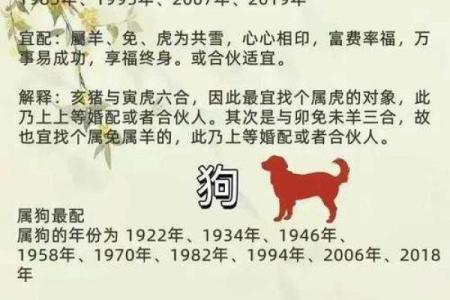 十二生肖男生姓名配对 十二生肖男生姓名配对图？