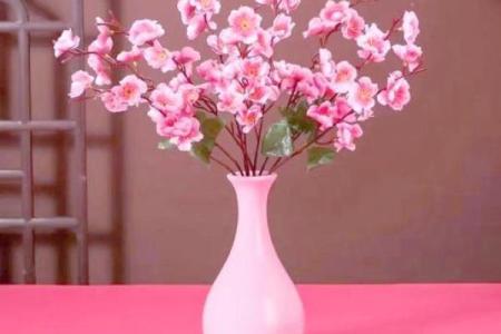 办公室女性招桃花运风水布局 用了桃花运简直不要太好