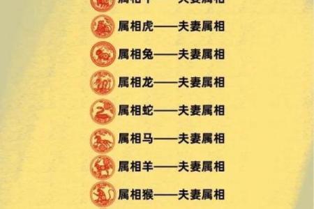 龙生肖配对姻缘 龙生肖配对排名？