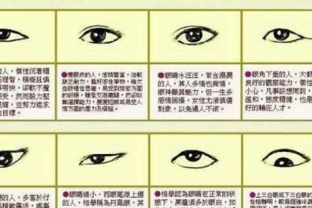 看相算命大全图解婚姻