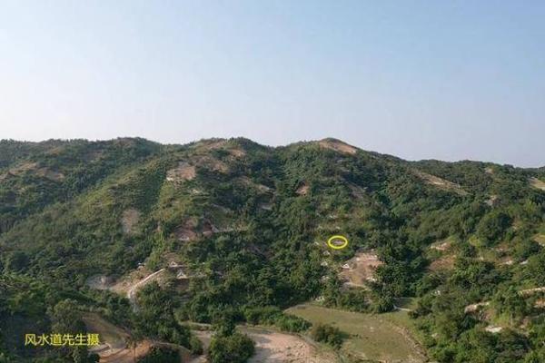 巧断墓地风水