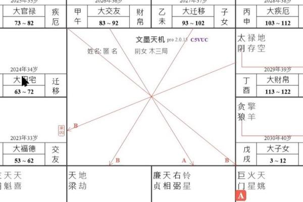 紫微斗数看姻缘感情