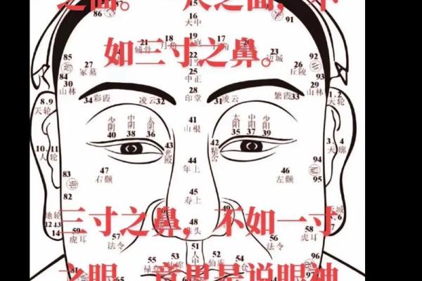 忠厚的男人如何看八字？分析八字中的什么因素最能决定其忠厚品质