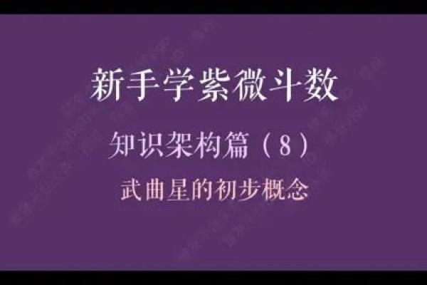 易谷紫薇斗数