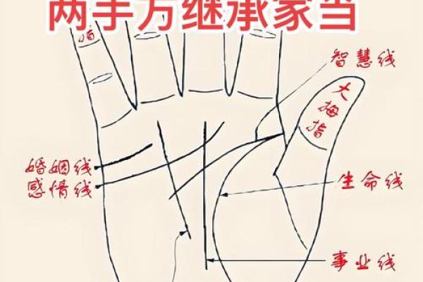 看手相算命：第三课 指头与掌型