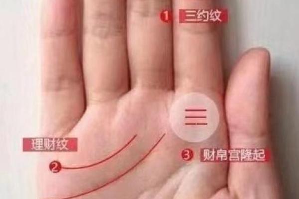 看手相算命：第三课 指头与掌型