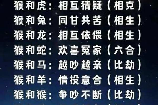 91年属什么生肖配对