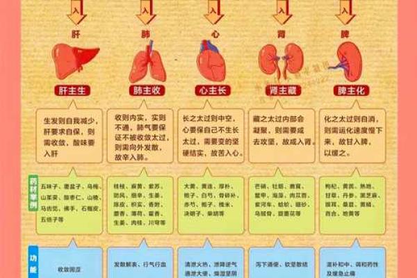 风水学中的三纲五常指的是什么