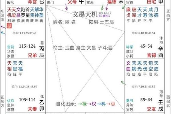 紫薇斗数推文