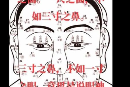 忠厚的男人如何看八字？分析八字中的什么因素最能决定其忠厚品质