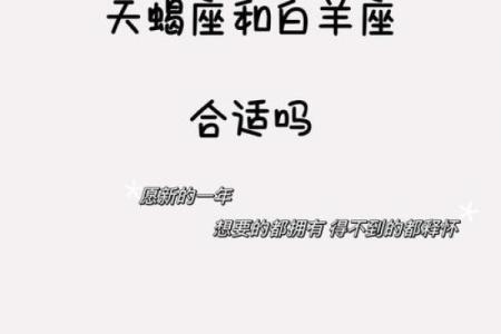 白羊天蝎座配对指数分析