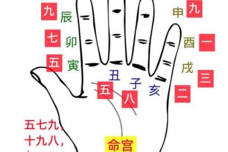 阴阳八卦算命,阴阳八卦看命