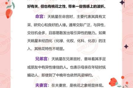 紫微斗数之疾厄宫四化飞星,是什么意思？