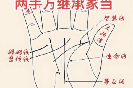 看手相算命：第三课 指头与掌型