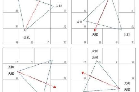 紫微斗数诸星落诸宫之：天梁星夫妻宫详解