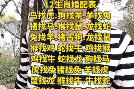 鸡蛇生肖配对指数 鸡和蛇属相婚配指数