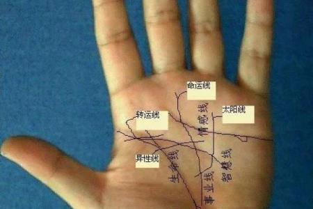 相术算命师分析：命苦且劳累的体相！