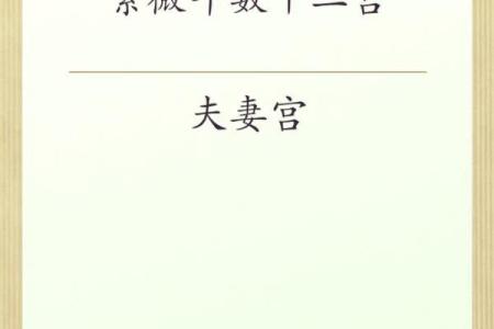 唐艺尹老师紫微斗数看夫妻宫