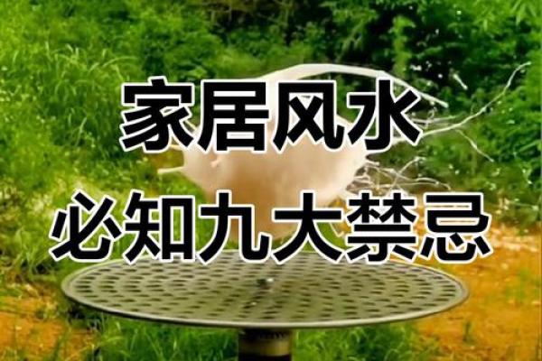 家居风水学问多，八大风水宜忌，做到趋利避害！