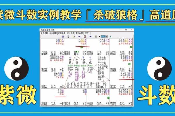 紫薇斗数高道原