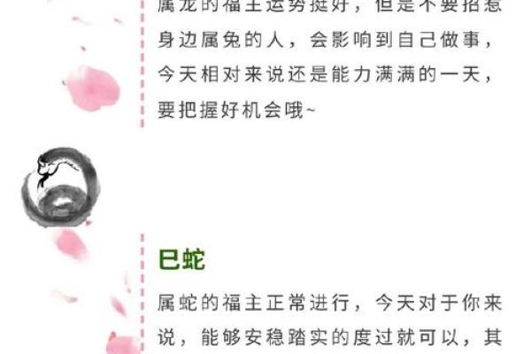 生日命运：八月二十日是什么星座？