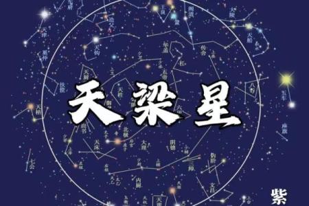国学通鉴之紫薇斗数