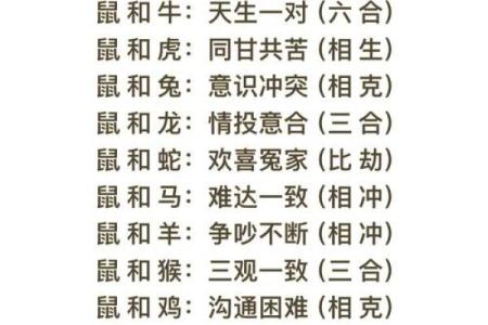 属虎人属相姻缘配对