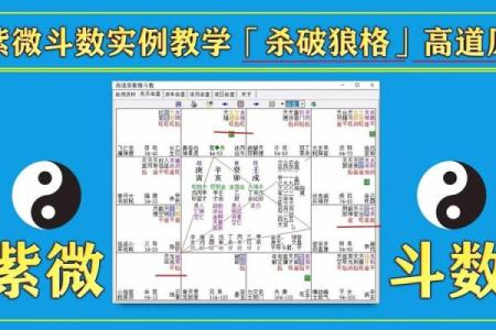 紫薇斗数高道原