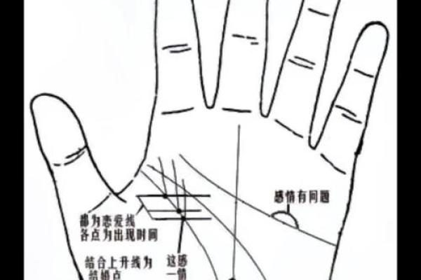 看手相算命图解：掌线
