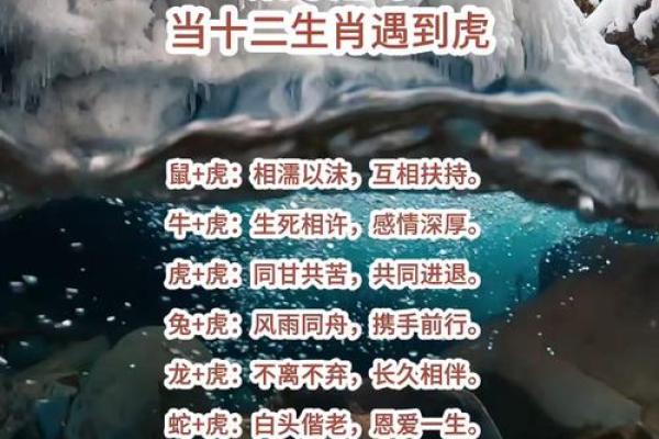 属虎和属牛的配对可行吗