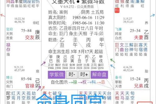 紫薇斗数太阳坐命宫