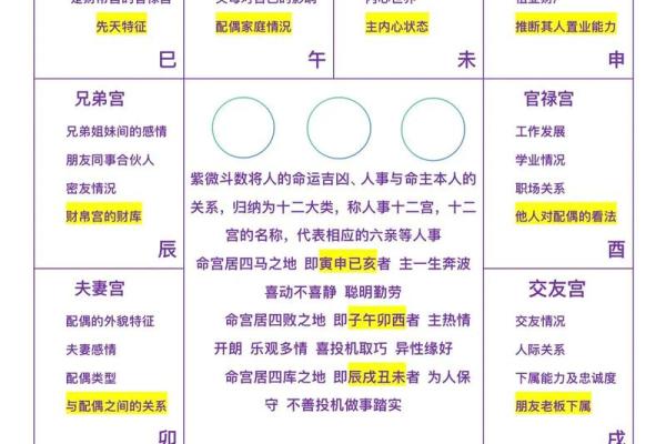 紫薇斗数太阳坐命宫