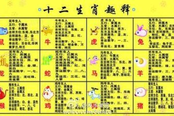 生肖配血型前途最远大TOP3